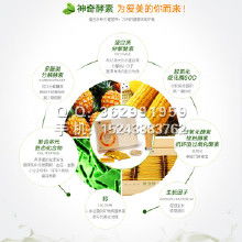 健康保健食品價格策略與批發(fā)渠道探析